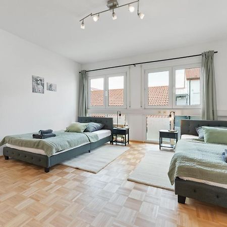 Lemon Suites Hildrizhausen - Ideal Fuer Teams Und Monteure エクステリア 写真